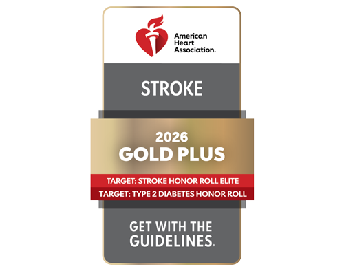 Stroke Gold Plus With Target: Stroke Honor Roll Elite, Type 2 Diabetes Honor Roll
