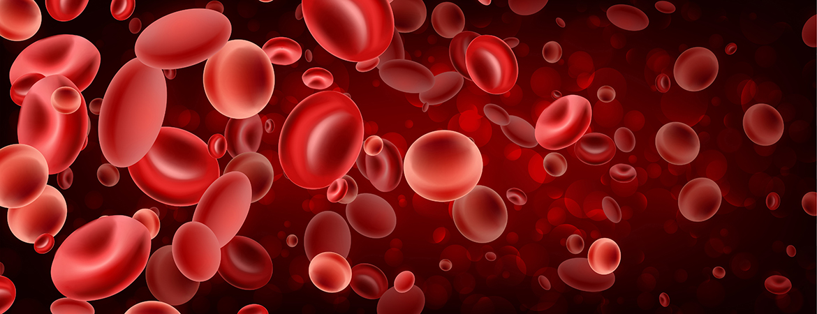red blood cells