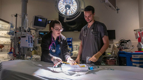 Amanda Moreau ’13 RN and Chad Eichman ’16 RN in the Emergency Department of UConn Health on March 6, 2019. (Sean Flynn/UConn Photo)