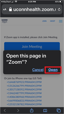 Open This Page in Zoom screenshot