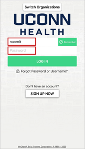 Login Window screenshot